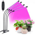 WENYI factory led plant lighting for medical plants